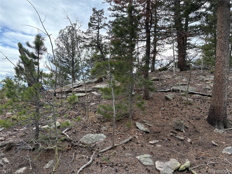 34251 Skyline Dr Lot 044124, Golden, CO 80403