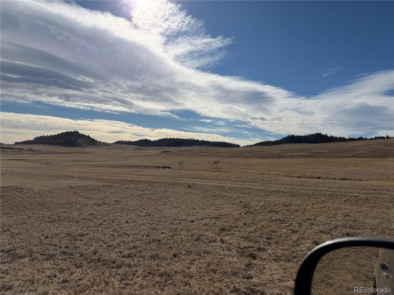 3 Ranch , Hartsel, CO 80449