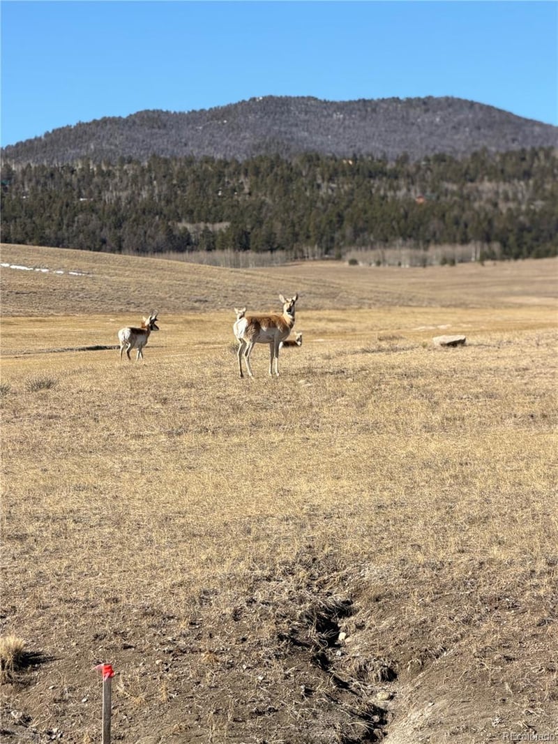 3 Ranch Lot 3, Hartsel, CO 80449