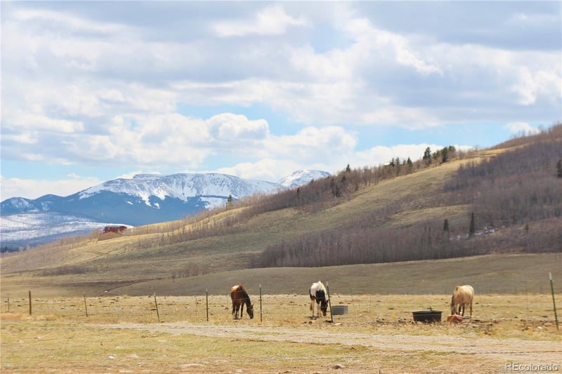 2232 Cr 5 , Fairplay, CO 80440