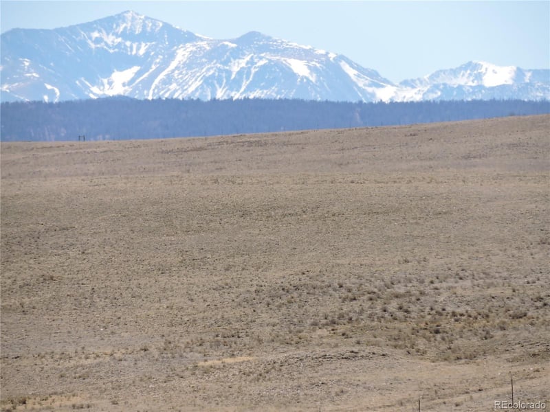 2716 Badger Rd, Hartsel, CO 80449