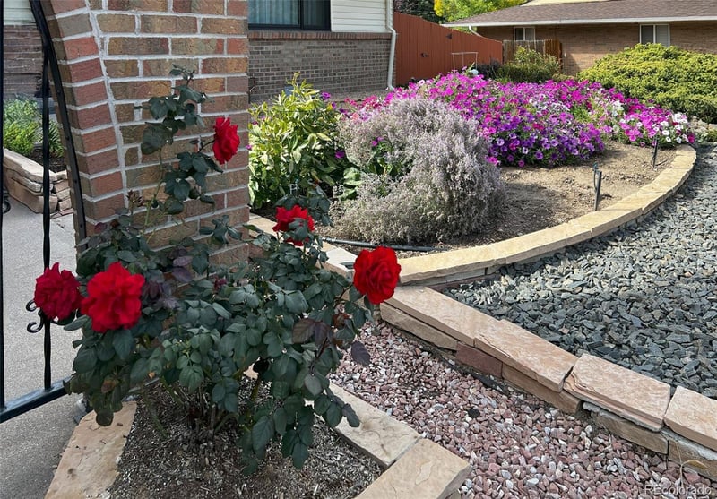 1055 Elmira St, Denver, CO 80247