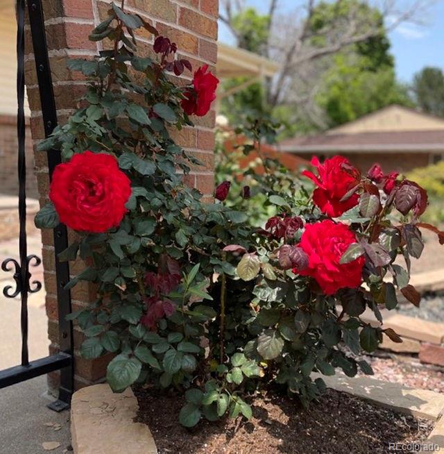 1055 Elmira St, Denver, CO 80247