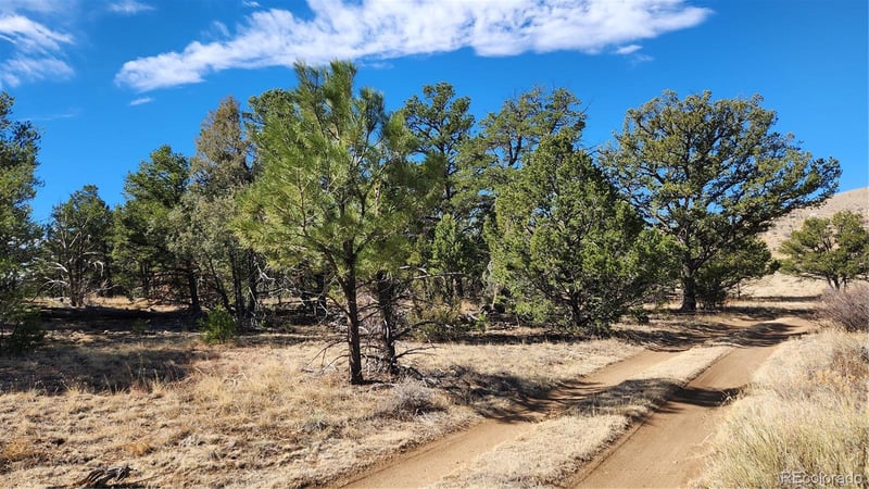 TBD L I Pa, Cotopaxi, CO 81223