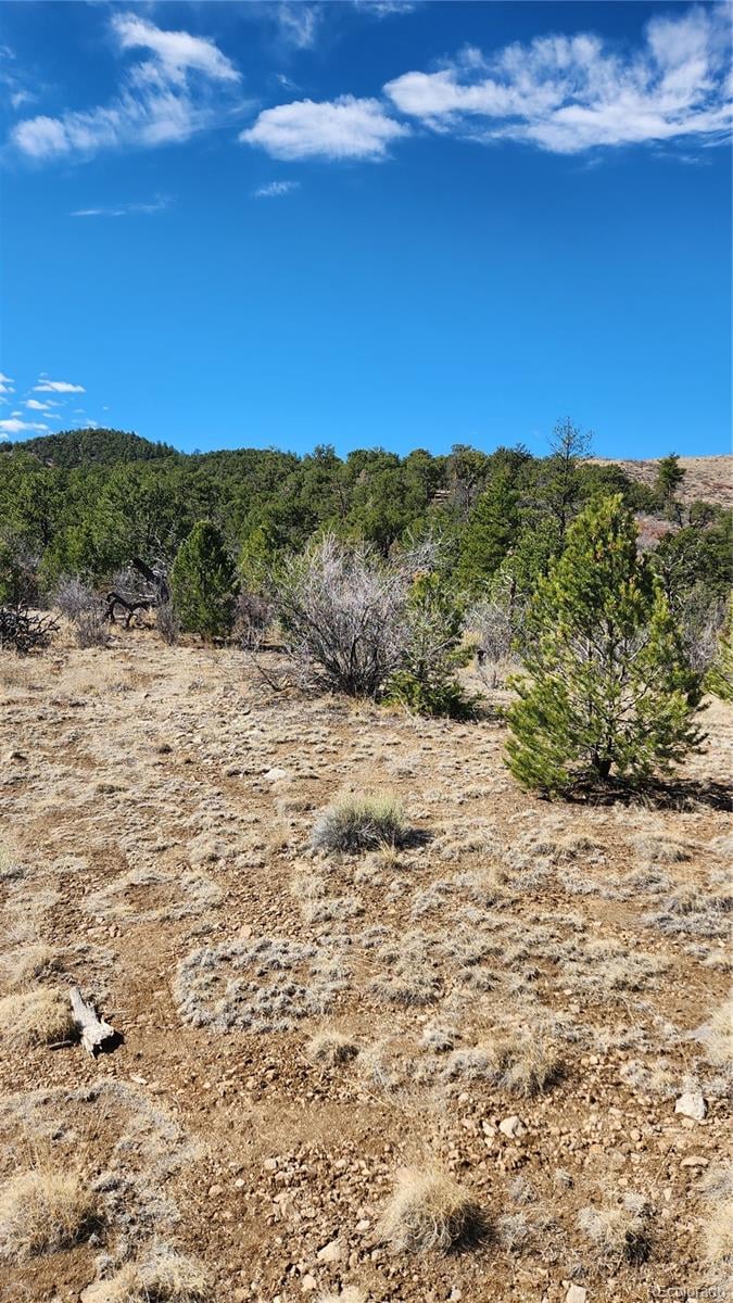 TBD L I Pa, Cotopaxi, CO 81223