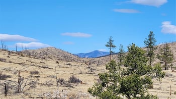 TBD L I Pa, Cotopaxi, CO 81223