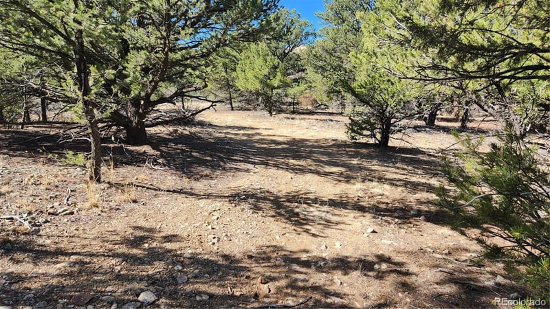 TBD L I Pa, Cotopaxi, CO 81223