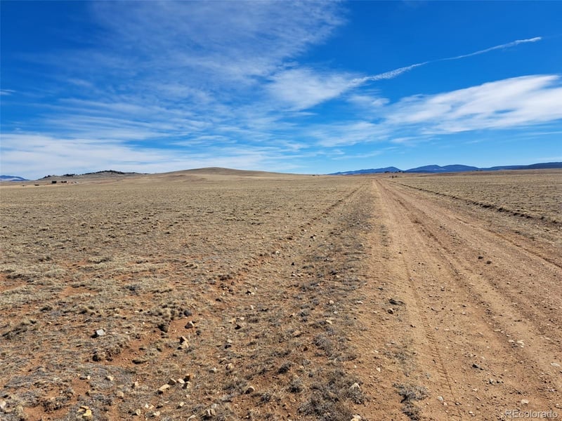 1700 Rogers Dr, Hartsel, CO 80449