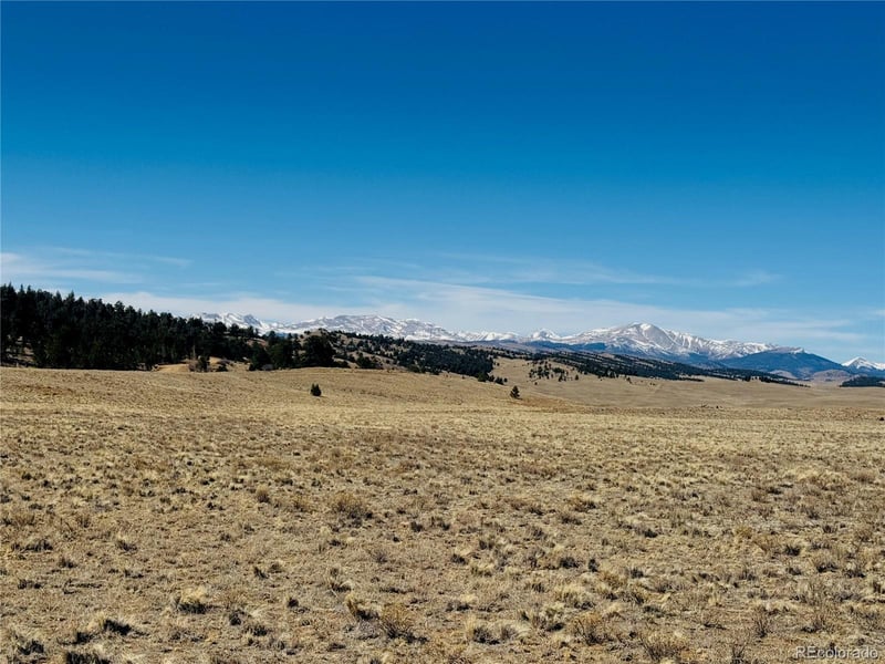 3067 Fitzsimmons Rd, Hartsel, CO 80449