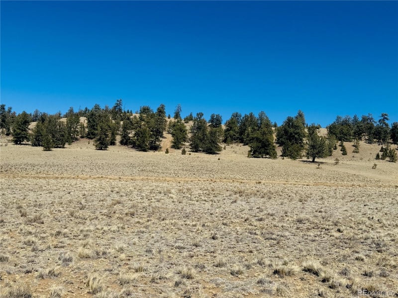 3067 Fitzsimmons Rd, Hartsel, CO 80449