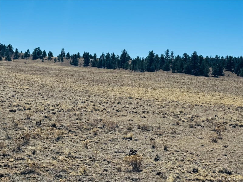 3067 Fitzsimmons Rd, Hartsel, CO 80449