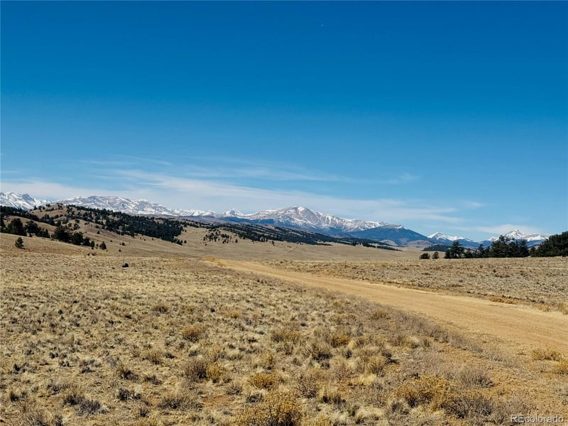 3067 Fitzsimmons Rd, Hartsel, CO 80449