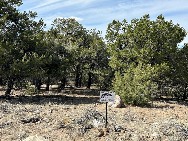 3545 Fallen Tree Pl, Crestone, CO 81131