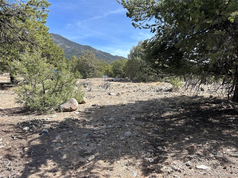 3545 Fallen Tree Pl, Crestone, CO 81131