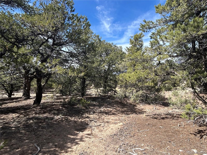 3545 Fallen Tree Pl, Crestone, CO 81131