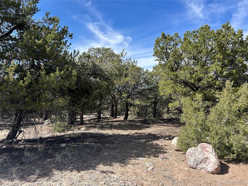 3545 Fallen Tree Pl, Crestone, CO 81131