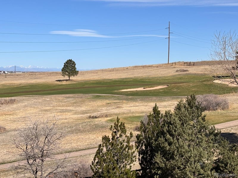 7119 Dove Ct, Parker, CO 80134