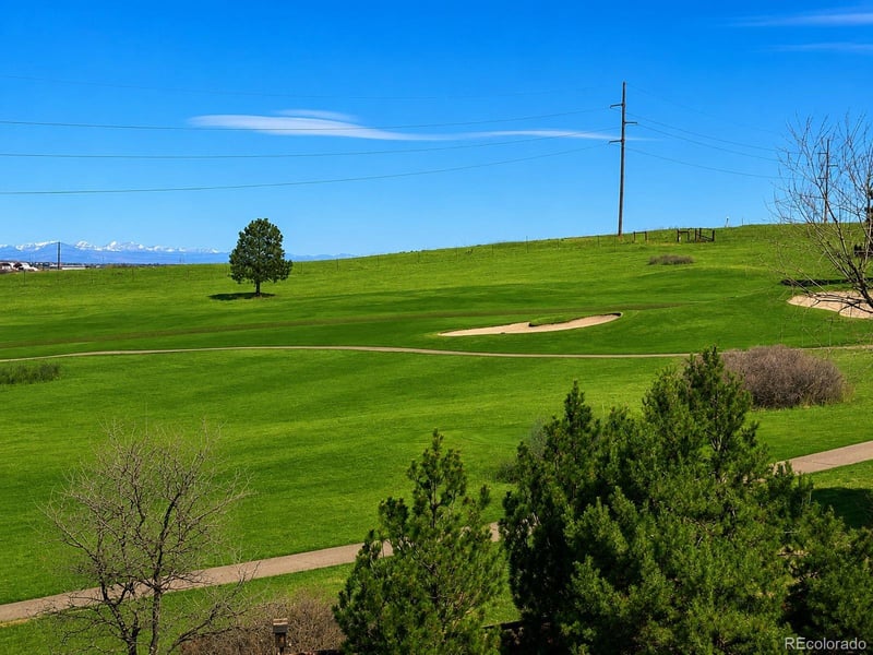 7119 Dove Ct, Parker, CO 80134