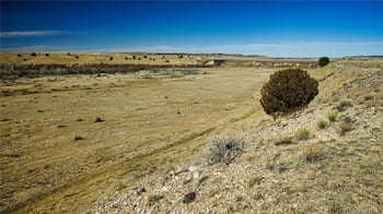 161 Colorado Land & Livestock, Walsenburg, CO 81089
