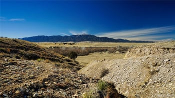 161 Colorado Land & Livestock, Walsenburg, CO 81089