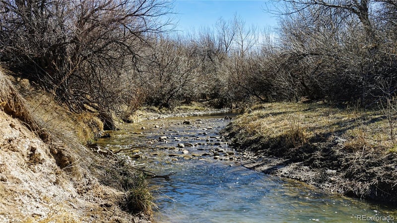 161 Colorado Land & Livestock, Walsenburg, CO 81089