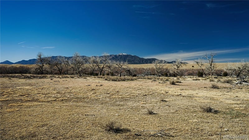 161 Colorado Land & Livestock, Walsenburg, CO 81089