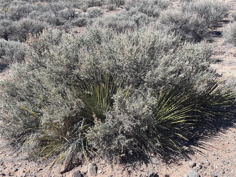 Lot 1 Fifth St, Blanca, CO 81123