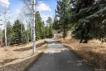 19184 Silver Ranch Rd, Conifer, CO 80433