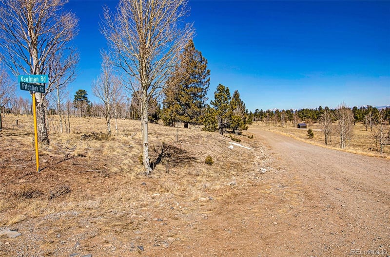2226 Pitchfork Rd, Hartsel, CO 80449
