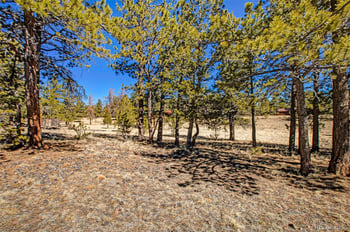 2226 Pitchfork Rd, Hartsel, CO 80449