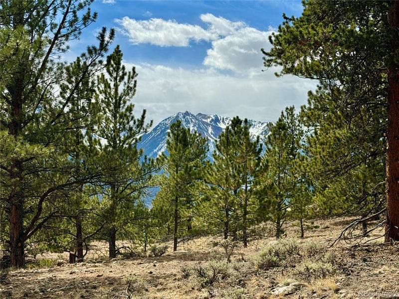 142 La Plata Peak Dr, Twin Lakes, CO 81251