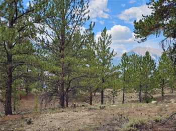 142 La Plata Peak Dr, Twin Lakes, CO 81251