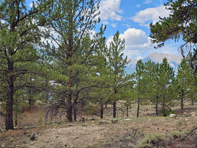 142 La Plata Peak Dr, Twin Lakes, CO 81251