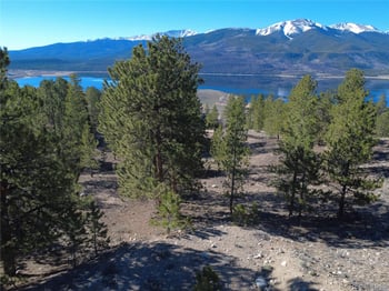 142 La Plata Peak Dr, Twin Lakes, CO 81251