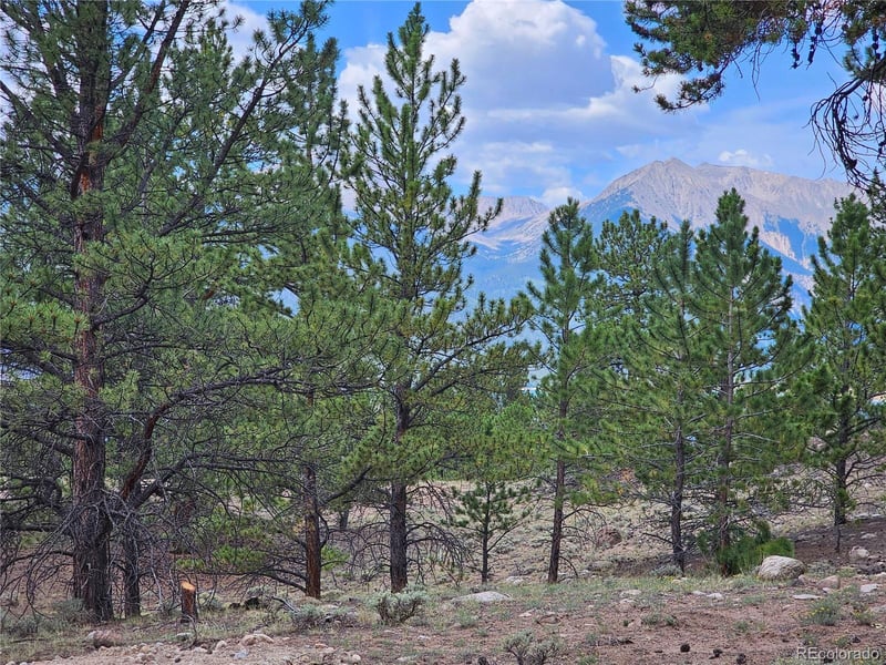 142 La Plata Peak Dr, Twin Lakes, CO 81251