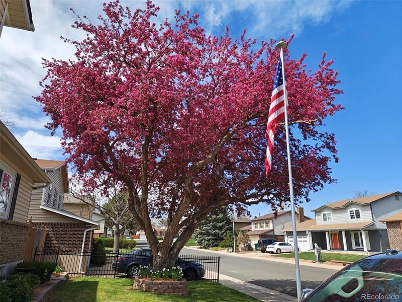 6122 113th Ave, Westminster, CO 80020