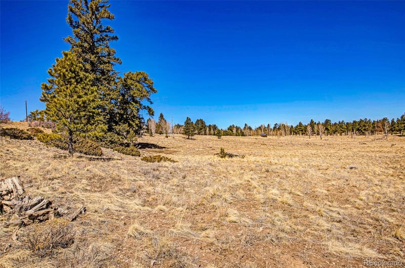 1250 Kaufman Rd, Hartsel, CO 80449