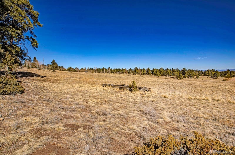 1250 Kaufman Rd, Hartsel, CO 80449