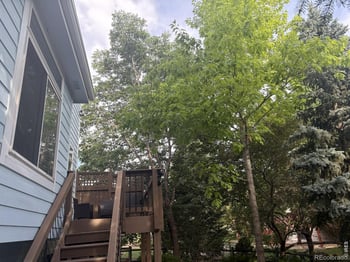 1107 Canvasback Dr, Fort Collins, CO 80525