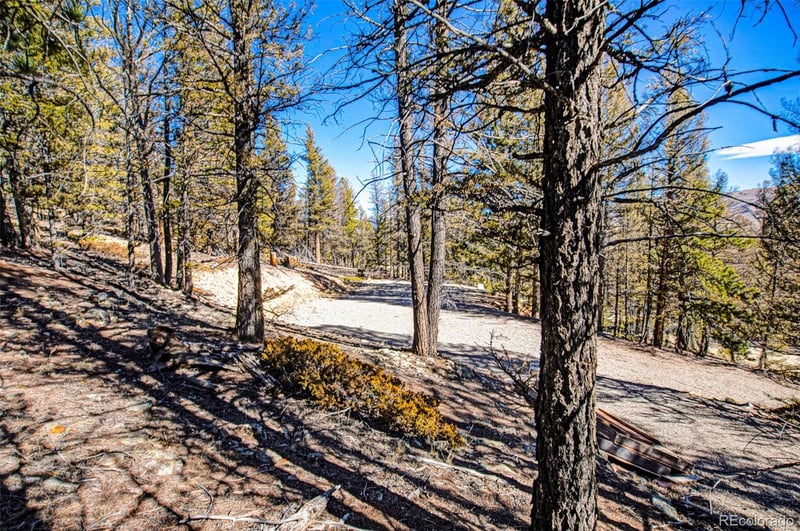 2623 Redhill Rd, Fairplay, CO 80440