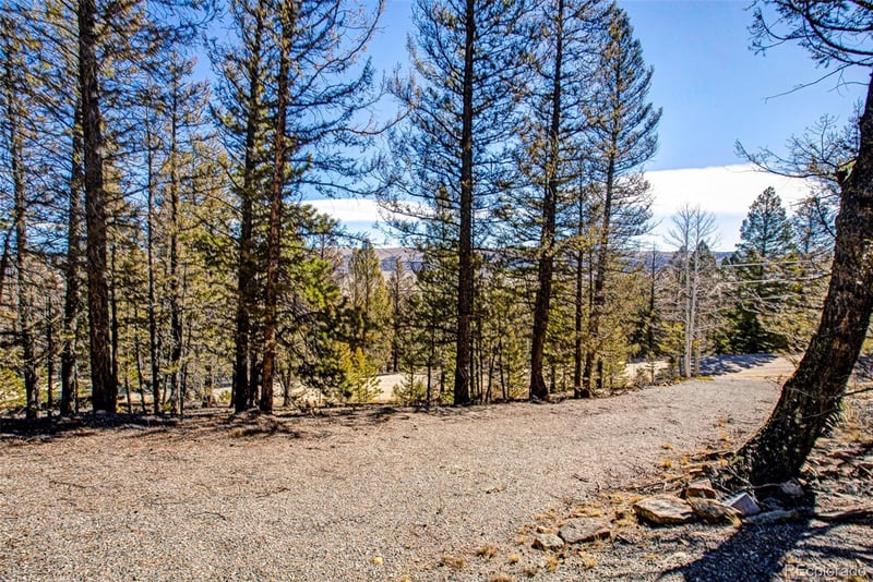 2623 Redhill Rd, Fairplay, CO 80440