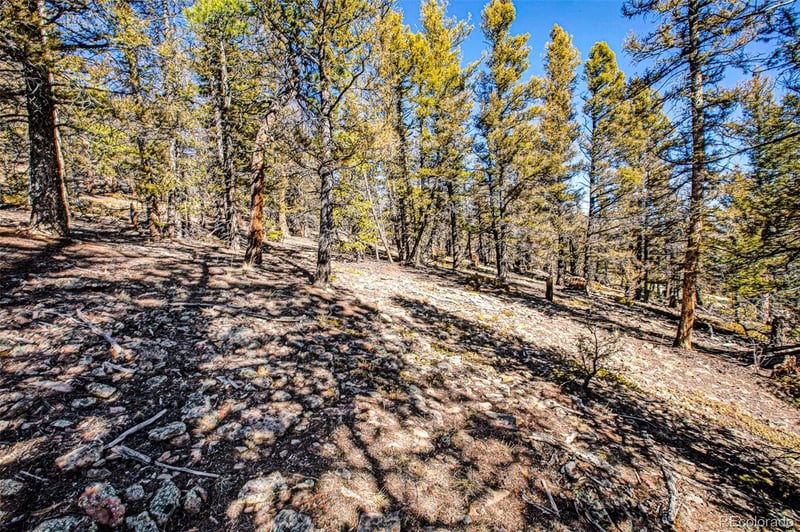 2623 Redhill Rd, Fairplay, CO 80440