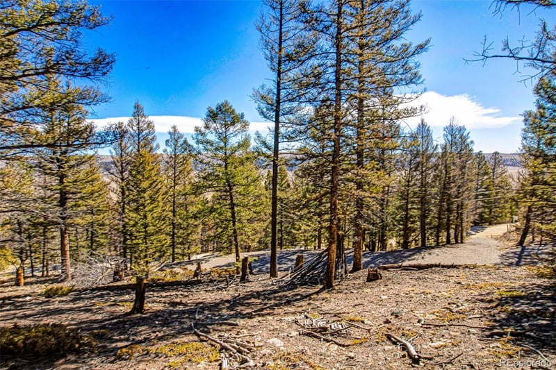 2623 Redhill Rd, Fairplay, CO 80440