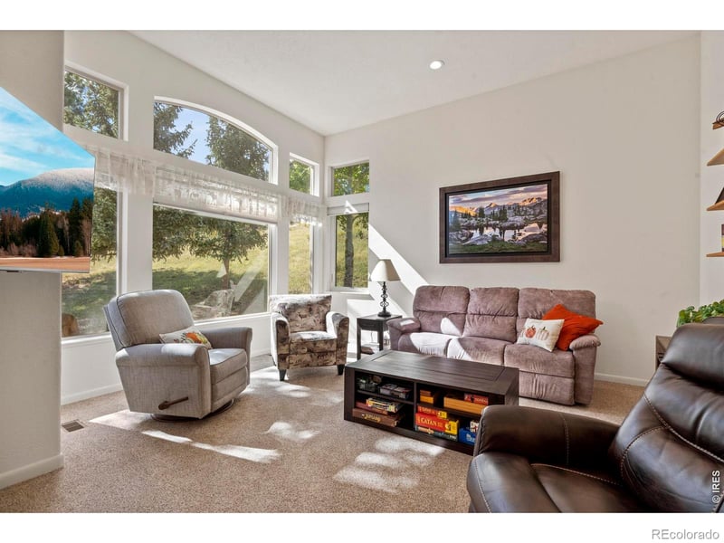 303 Green Pine Ct, Estes Park, CO 80517