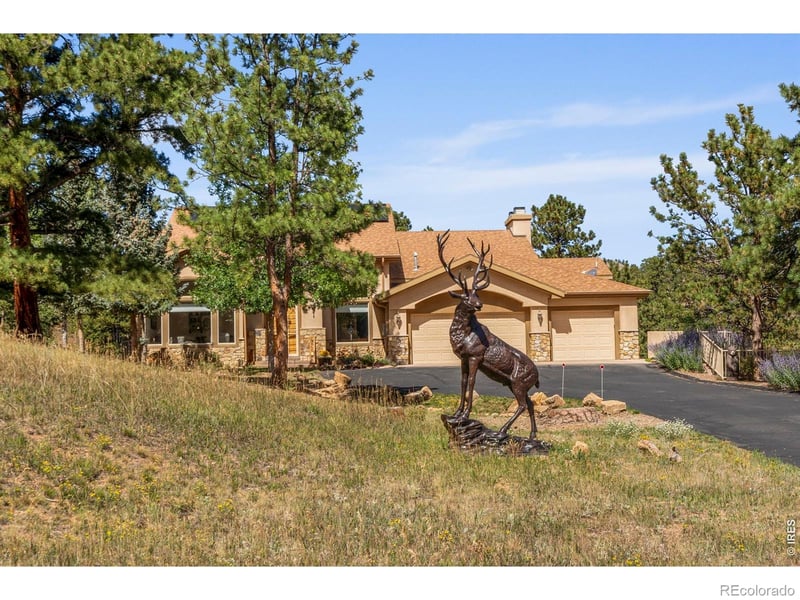 303 Green Pine Ct, Estes Park, CO 80517
