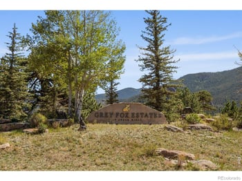 303 Green Pine Ct, Estes Park, CO 80517