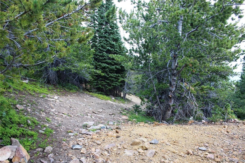 00 Fs 411 1 , Black Hawk, CO 80422