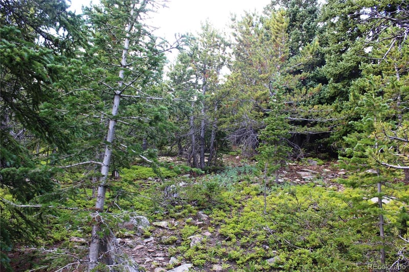 00 Fs 411 1 , Black Hawk, CO 80422