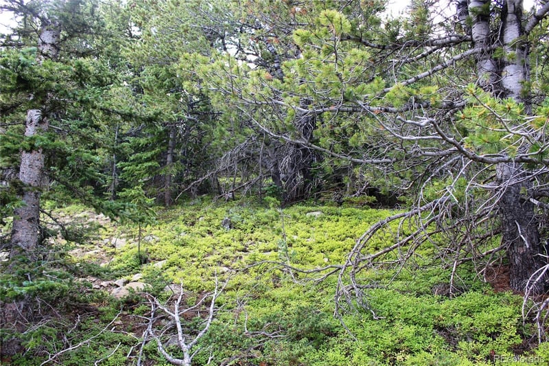 00 Fs 411 1 , Black Hawk, CO 80422