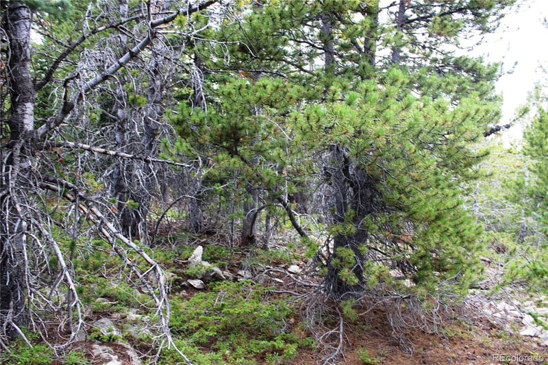 5285 Lucy Agnes Lot 5285, Black Hawk, CO 80422